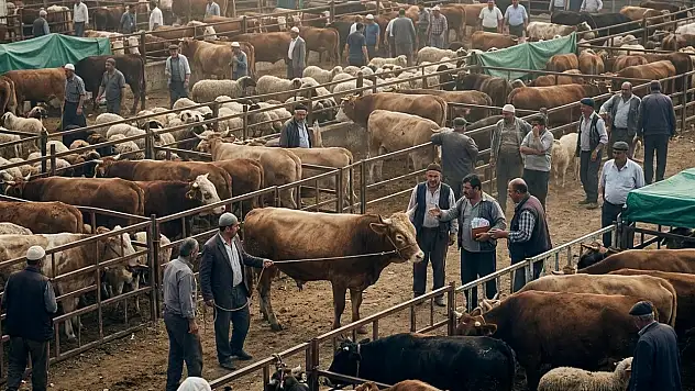 Kurbanda gizli masraf tuzağı! Bu hatayı yaparsanız ek maliyetler çıkıyor!