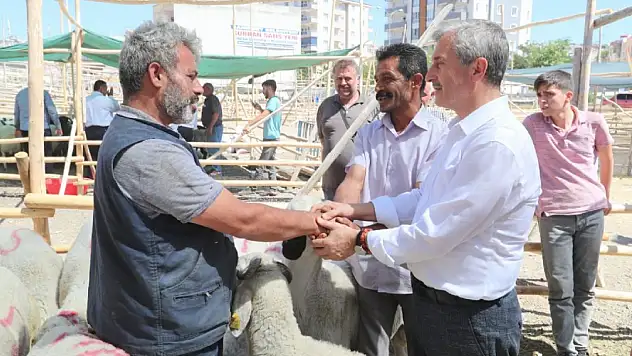 Kurbanlıklar görücüye çıkıyor! İşte Konya'daki kurban satış ve kesim yerleri
