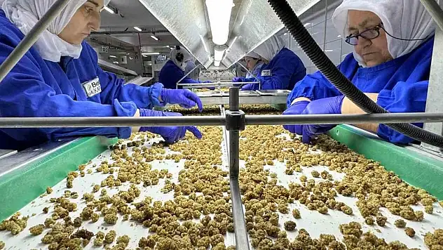 Kuru meyve ihracatı 829 milyon dolara yükseldi