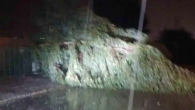 Kuvvetli rüzgar hayatı olumsuz etkiledi