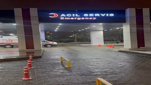 Kuzenini başından vurarak öldürdü!
