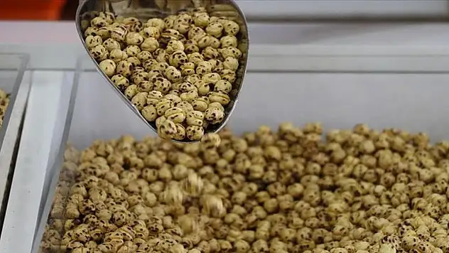 Leblebinin bilinmeyen etkisi. Günde 1 avuç leblebi yemek bakın ne işe yarıyor?