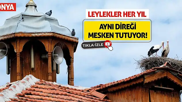 Leylekler Her Yıl Aynı Direği Mesken Tutuyor!