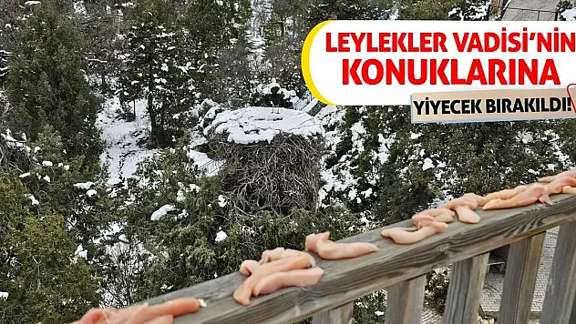 Leylekler Vadisi'nin konuklarına yiyecek bırakıldı!