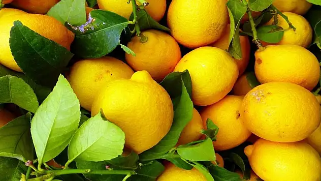 Limon çabuk mu kuruyor? Limondan 2 kat daha fazla su çıkarmanızı sağlayacak yöntem