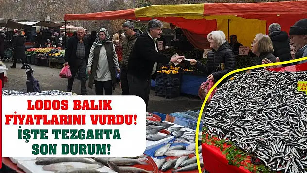 Lodos Balık Fiyatlarını Vurdu! İşte Tezgahta Son Durum!