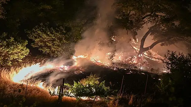 Los Angeles'ta çıkan orman yangınında 1200 kişi tahliye edildi