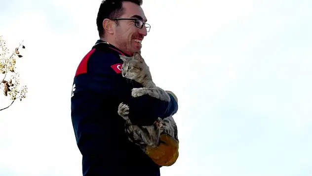Mahsur kaldığı ağaçtan kurtardığı kedi, itfaiyecinin kucağından inmedi