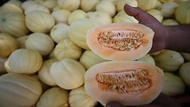 Manavcıların sırrı: Kavunu böyle seçin, eve getirdiğinizde bal gibi çıkacak…