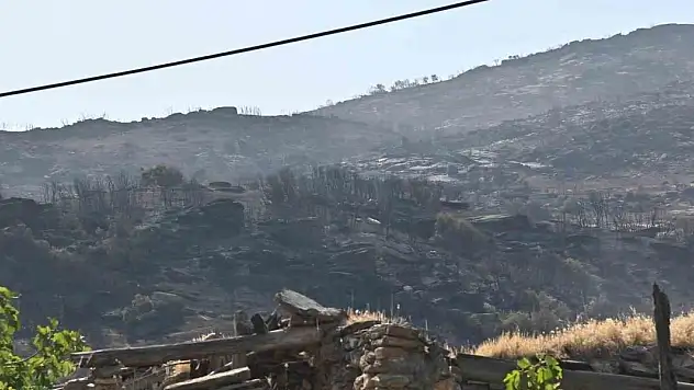Manisa'daki yangınlar geçen seneye göre 2 kat arttı