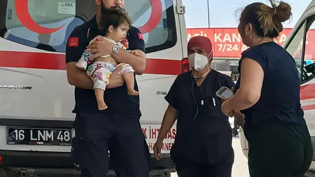 Maraş otu yutan 1 yaşındaki bebek hastanelik oldu