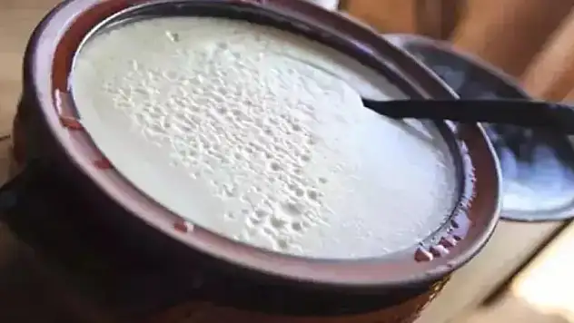 Maya yoksa dert etmeyin! Süte 15 tane ekleyince yoğurt taş gibi oluyor
