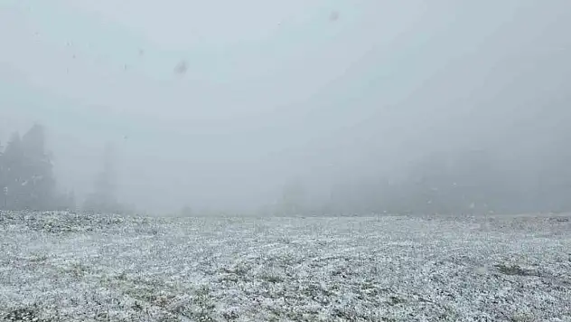 Mayıs'ın ortasında Sakarya'da kar yağdı
