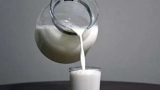 Mayısta 999 bin 348 ton inek sütü toplandı