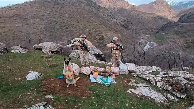 Mehmetçik'ten büyük operasyon! Onlarca mağara imha edildi