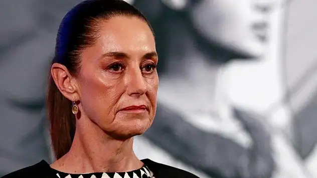 Meksika ABD'nin çelik vergisi kararına tepki gösterdi