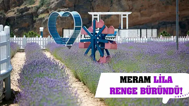 Meram lila renge büründü!