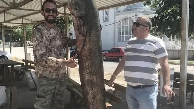 Meriç Nehri'nde 80 kilo ağırlığında yayın balığı yakaladı