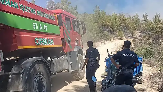 Mersin'de orman yangını
