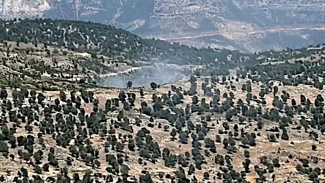 Mersin'de orman yangını