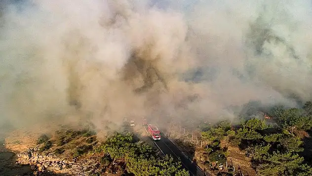 Mersin'de orman yangını çıkaran zanlı tutuklandı