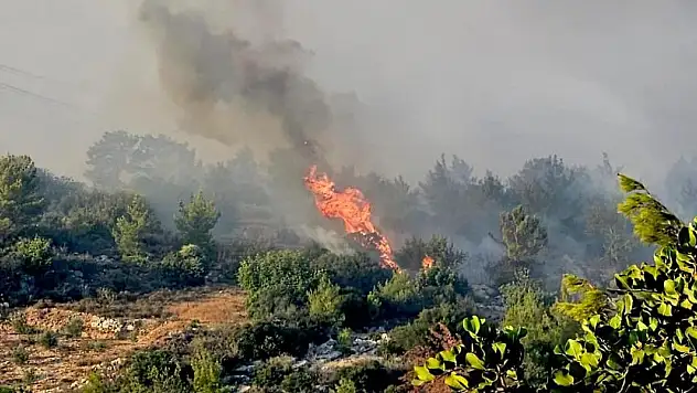 Mersin'in Silifke ilçesinde orman yangını çıktı