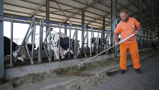 Meslek öğrenen hükümlüler iş kollarında istihdam ediliyor