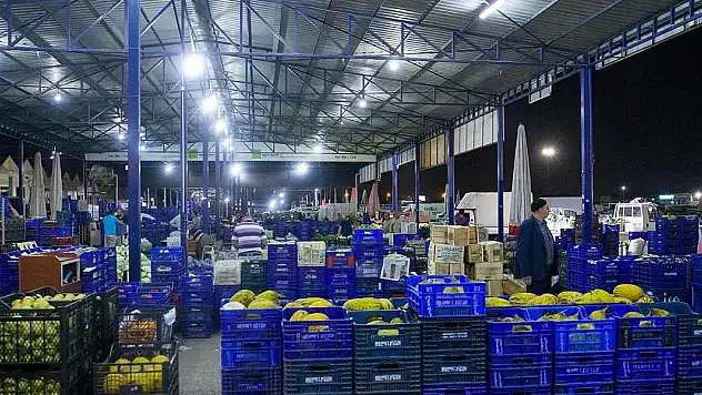 Meyve-sebze sektöründen 1,3 milyar dolarlık ihracat