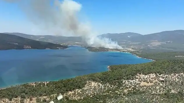 Milas'ta orman yangını