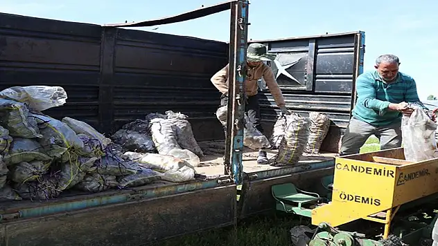 Mor patates üretimini 5'e katlayan girişimci çiftçilere örnek oluyor