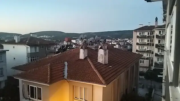 Muğla Ula'da 4.1 büyüklüğünde deprem meydana geldi