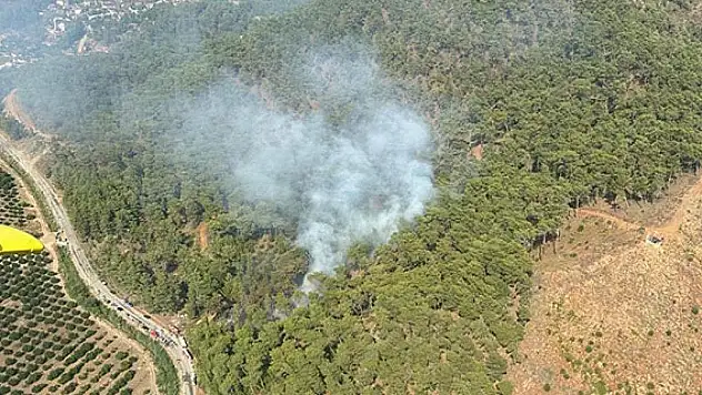 Muğla'da orman yangını çıktı