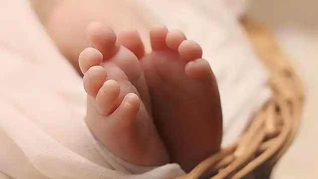 Muğla'da ormanlık alanda terk edilmiş bebek bulundu