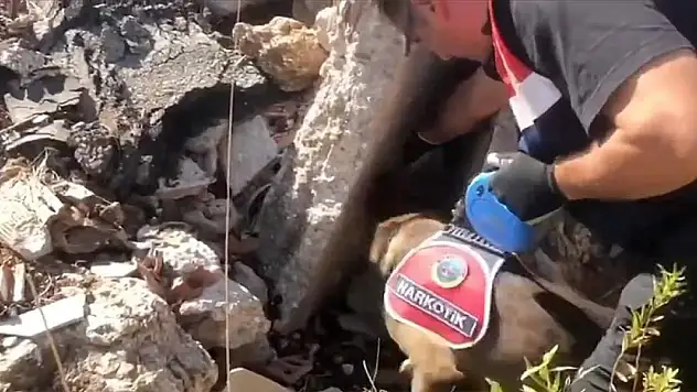 'Narkoçelik-42' operasyonlarında 1 ton 971 kilogram uyuşturucu ele geçirildi