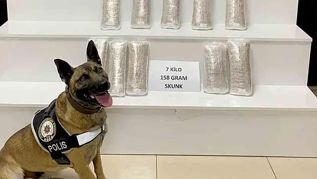 Narkotik köpeği 'Ateş' 7 kilo uyuşturucuyu buldu