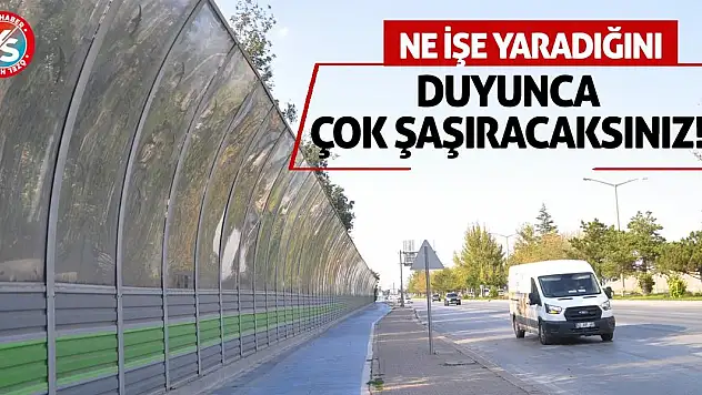 Ne İşe Yaradığını Duyunca Çok Şaşıracaksınız!