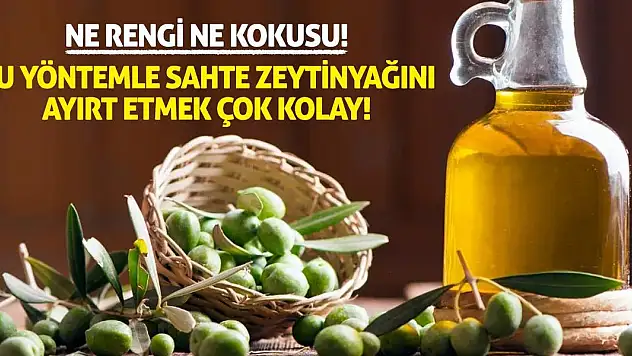 Ne Rengi Ne Kokusu! Bu Yöntemle Sahte Zeytinyağını Ayırt Etmek Çok Kolay!