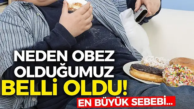 Neden Obez Olduğumuz Belli Oldu! En Büyük Sebebi…