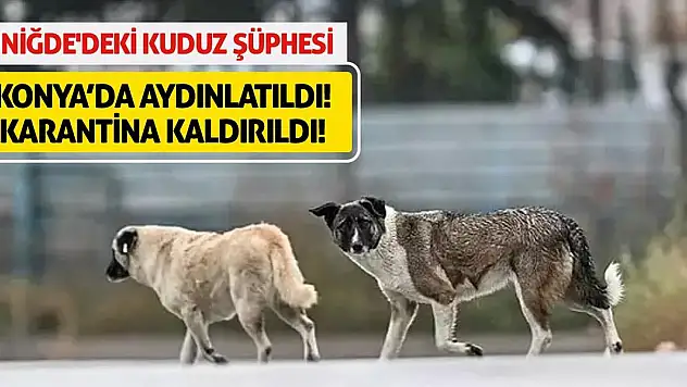 Niğde'deki Kuduz Şüphesi Konya'da Aydınlatıldı! Karantina Kaldırıldı!