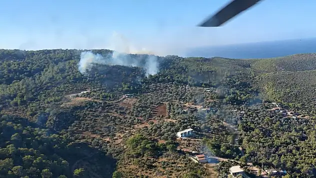 OGM: 'Fethiye ve Köyceğiz'deki yangınlar kontrol altında'
