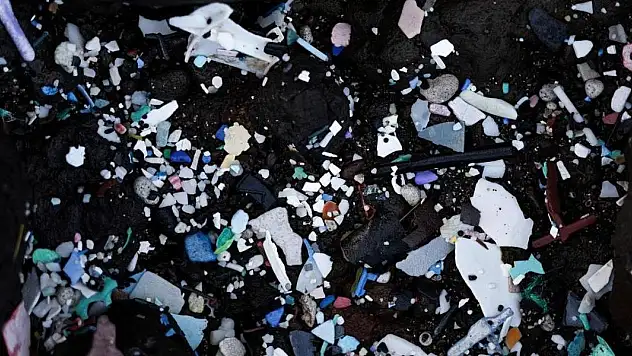 Okyanusun her katmanında mikroplastik bulundu