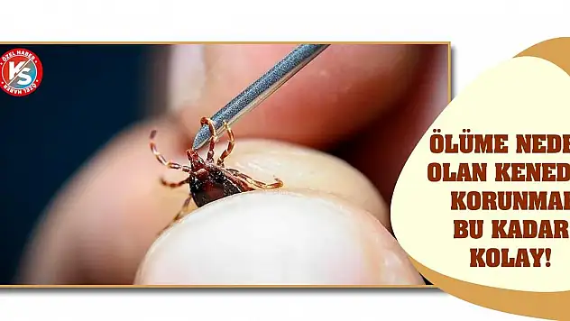 Ölüme neden olan keneden korunmak bu kadar kolay!