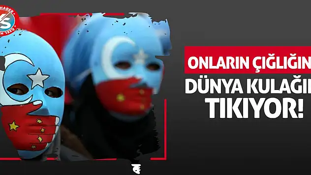 Onların çığlığına dünya kulağını tıkıyor!