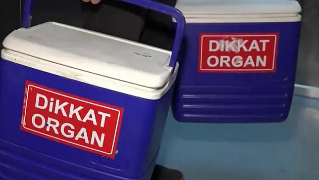 Organ bağışı e-Devlet ve e-Nabız'dan yapılabilecek