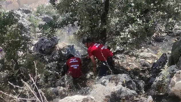 Orman yangını güçlükle söndürüldü