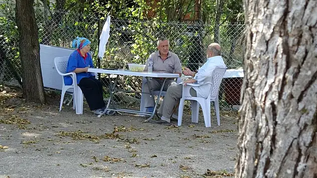 Orman yangınında 60 yıl sonra aynı acıyı yaşadı