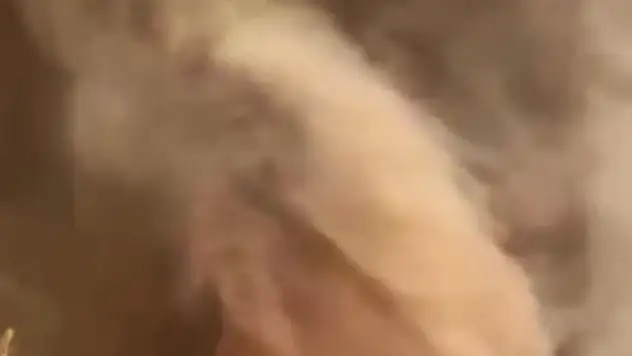 Orman Yangınında Alevler Hortum Oluşturdu!