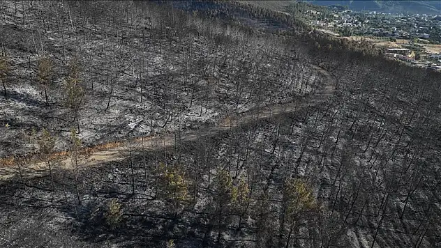 Orman yangınında zarar gören alanlar dronla görüntülendi