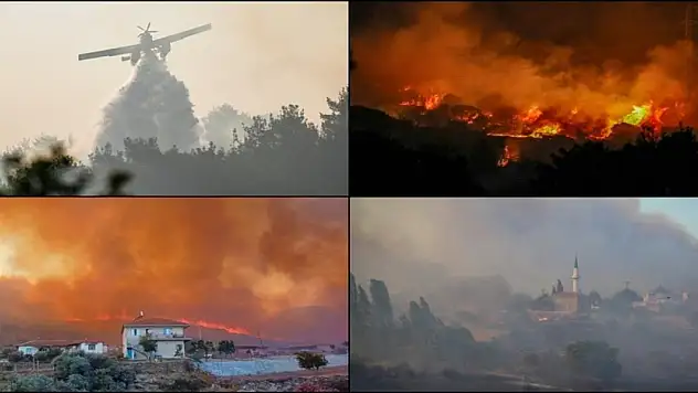 Orman yangınları geçen yıla göre yaklaşık 5 kat arttı