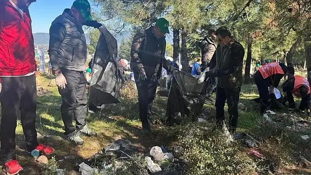 Ormanlar karış karış temizledi